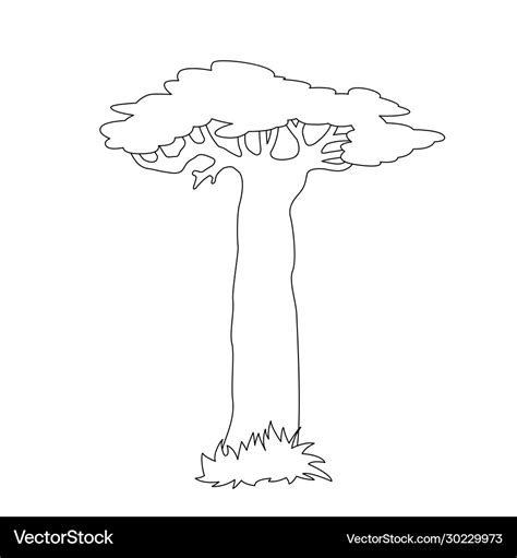 Lone baobab tree lining draw Royalty Free Vector Image