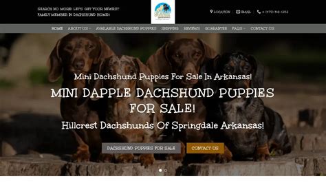 Hillcrestdachshunds.com is a scam. - PetScams.com