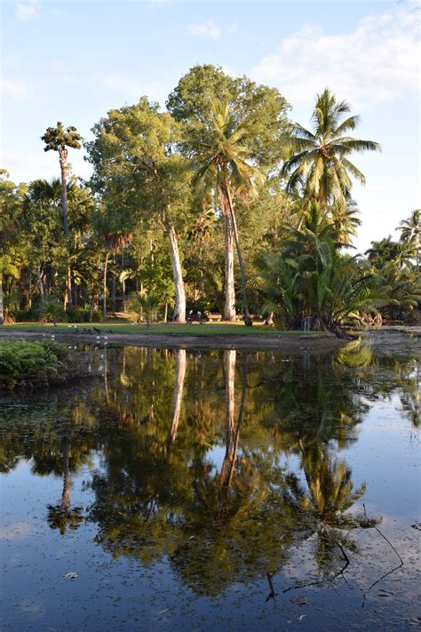 Cairns Botanic Gardens – jontynz – tales from around the world…