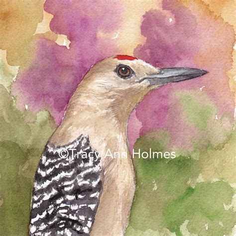 Gila Woodpecker Sonoran Desert Birds Giclée Print - Etsy