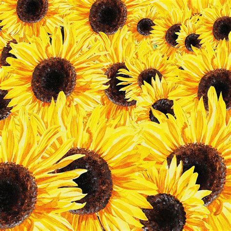 Sunflower Watercolor Wallpapers - Top Free Sunflower Watercolor Backgrounds - WallpaperAccess