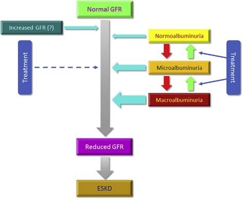 Albuminuric and nonalbuminuric pathways of DKD progression. DKD Z ...