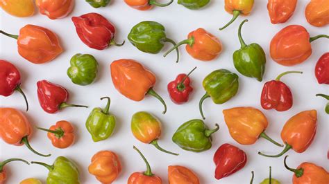 How Spicy Is A Habanero Pepper Really?