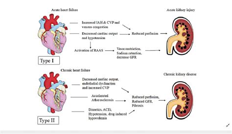 Pathophysiology of Type I and II Cardiorenal syndrome IAH ...