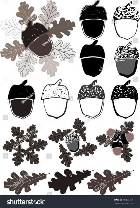 Silhouettes Acorns Oak Leaves Stock Vector (Royalty Free) 144081361 | Shutterstock