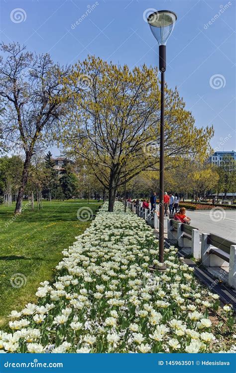 Flower Garden and National Palace of Culture in Sofia, Bulgaria ...