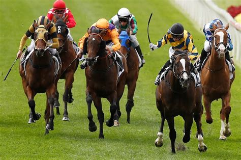 Moonee Valley Racing Tips - Will Three Beans sprout in the 55 Second Challenge?