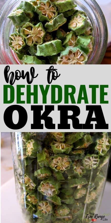 Dried Okra- How to Preserve Okra by Dehydrating | Dried vegetables, Dehydrated okra, Dehydrator ...