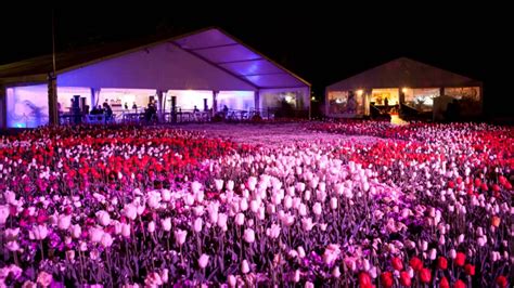 Floriade Nightfest - YouTube