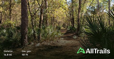 Flatwoods Park Trail to Morris Bridge Trail Loop, Florida - 98 Reviews ...