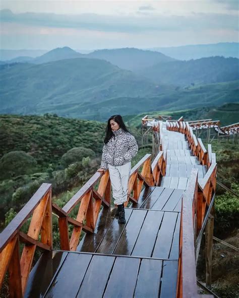 Wisata Taman Langit Pangalengan, Spot Kemah Keren di Bandung - PARAWISATA.ID