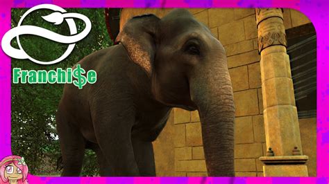 "Elephant Shelter" | Planet Zoo Franchise Lets Play (1080p) - YouTube