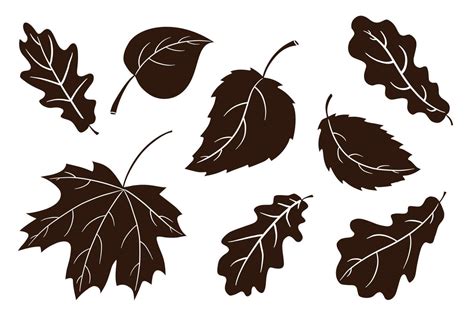 Oak Leaf Silhouette Vector Art, Icons, and Graphics for Free Download