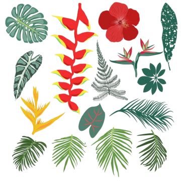 Tropical Jungle Leaves And Flowers Collection Symbol Vector Beauty Vector, Symbol, Vector ...