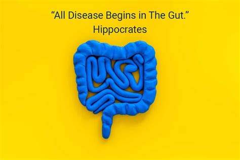 Digestive Health 101: Can't Ignore that Gut Feeling