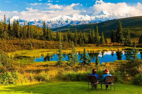 Camp Denali | Unique Place To Stay In Denali National… | ALASKA.ORG