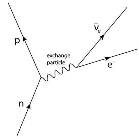 Gradegorilla IB Physics Questions