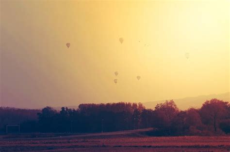 Free stock photo of freedom, hot-air balloons, orange