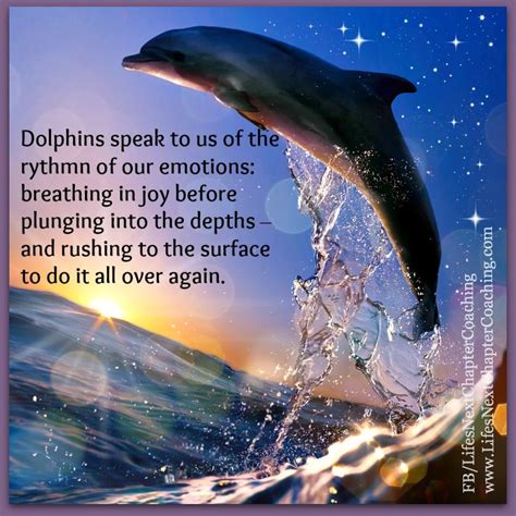 Dolphin Quotes - ShortQuotes.cc