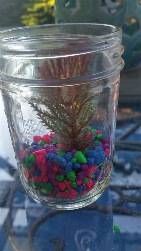 DIY Aquarium Craft, Fun Summer Craft for Kids, Cute Camp Activity for Kids - Kids Play and Create