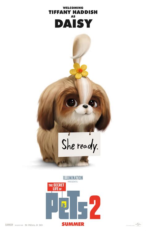 "Secret Life Of Pets 2": Here's What The Voice Actors Look Like IRL