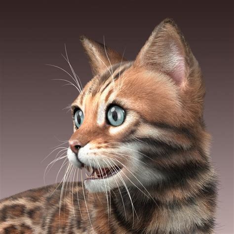 max bengal cat fur hair animation