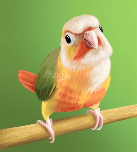 I drew a cute parrot posted here by u/senorchampion (he came out more derpy than I anticipated ...