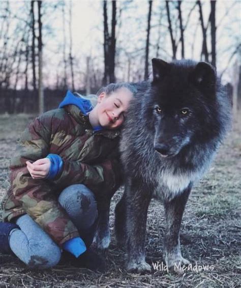 Wolf-Dog Hybrids (25 pics)