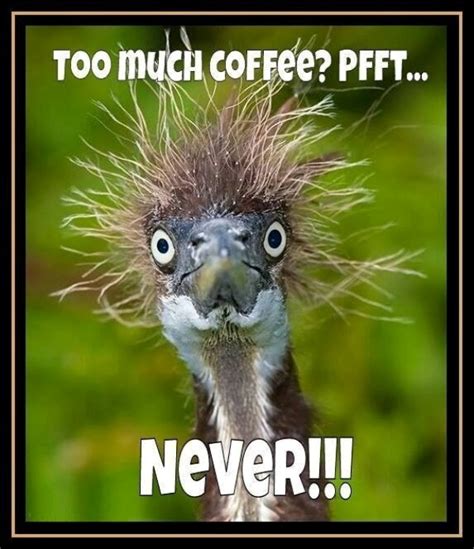 96 Great Coffee Memes For Coffee Lovers - Funny Memes