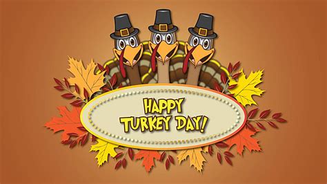 154 Funny Thanksgiving Turkey Photos, Pictures And Background Images ...