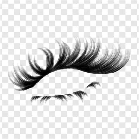 Eye Lashes Clipart Transparent Background Free Download - PNG Images