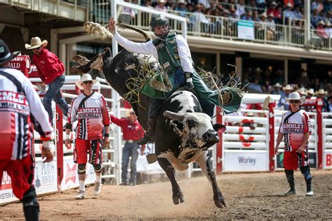 Calgary Stampede Parade 2021 - Mahilanya