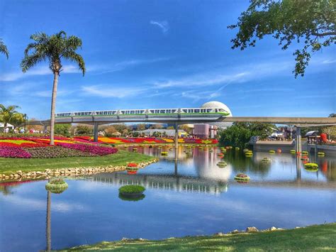 Where to Find the Best Photo Spots at Disney World