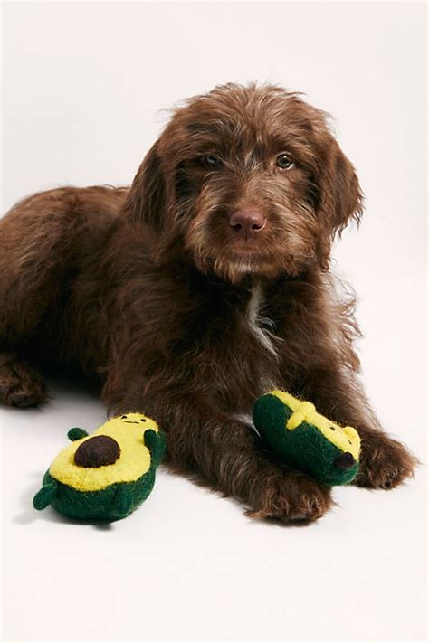 Wool Avocado Dog Toy in 2020 | Dog toys, Dogs, Pup