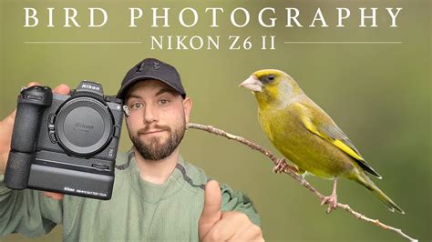 Bird Photography with the Nikon Z6 II - Irish Wildlife Photography ...