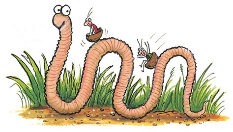 Axel Scheffler's official website | Superworm