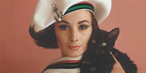 11 Stunning Photos That Will Change Your Perception of Cat Ladies Forever