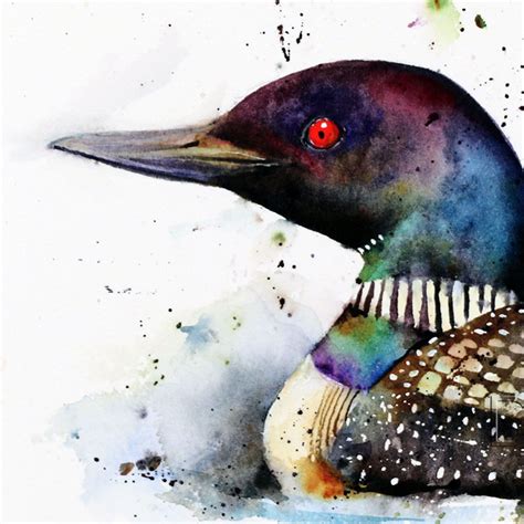 LOON Watercolor Bird Art Print, Loon Watercolor, Bird Painting, by Dean Crouser - Etsy ...