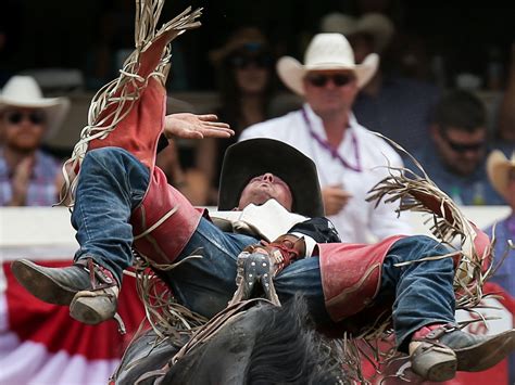 Calgary Stampede 2019 rodeo - Day 9 - LiveWire Calgary