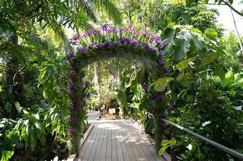 Naples: Naples Botanical Garden | Pet Friendly Travel