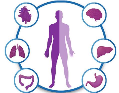 What are the Benefits of a Full-body Checkup?