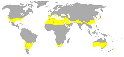 Areas of the world with subtropical climates according to Köppen ...