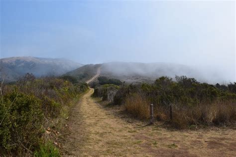 Hiking The Best Trail in Andrew Molera State Park - Top Down Lifestyle