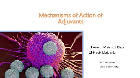 Mechanisms of Action of Adjuvants