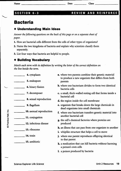 12th Grade Science Worksheets