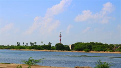 Vedaranyam Beach | Beaches near me, Beach place, Places to visit