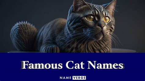 Famous Cat Names: 383+ Names From History To Hollywood