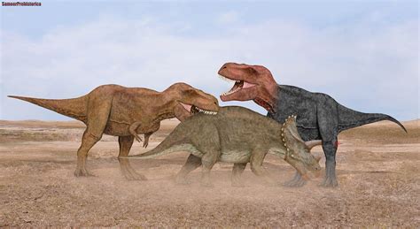 Tyrannosaurus Rex vs Triceratops by SameerPrehistorica on DeviantArt