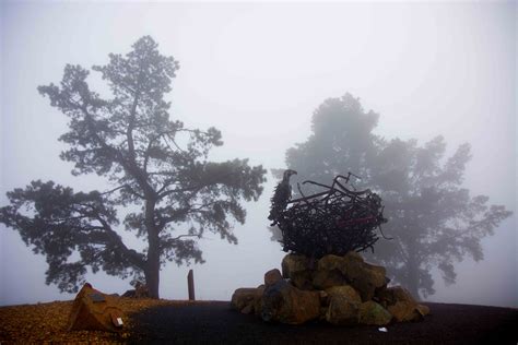 Pea soup fog in Canberra | Pea soup, Peas, Firewood