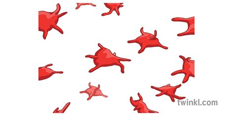 Platelets Blood Diagram Science Secondary Illustration - Twinkl